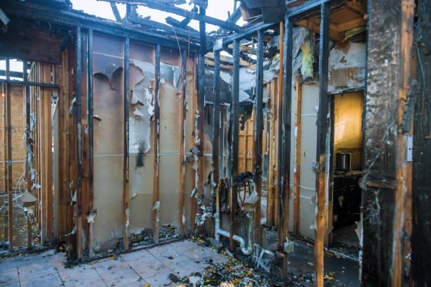 Professional Fire Damage Cleanup technician working in Burnsville, MN
