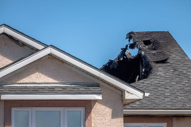 Top rated local Fire Damage Cleanup specialists in Burnsville, MN